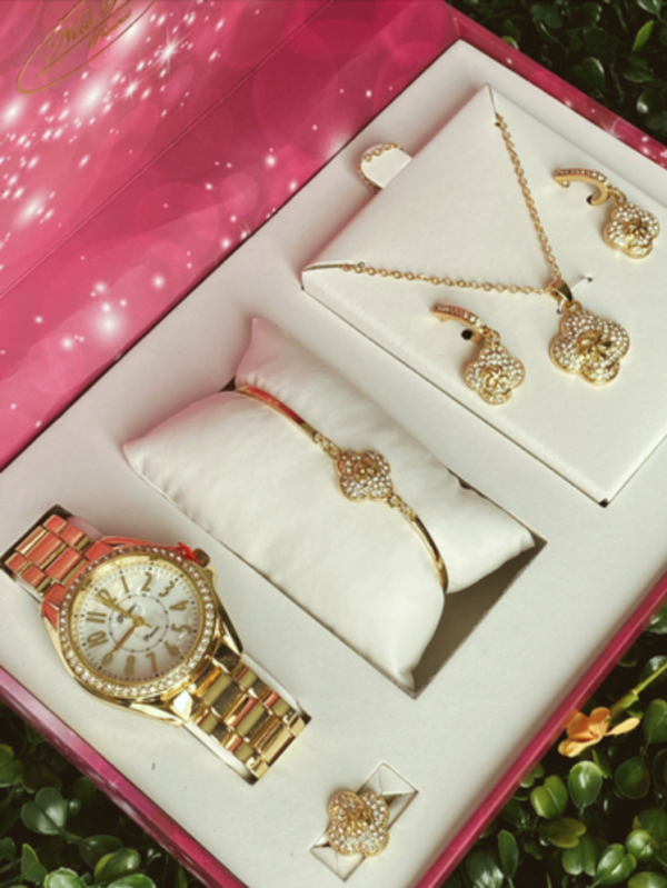 Estuche Reloj WM47
